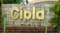 Cipla stock in focus after Q2 PAT beats estimates. Should you buy, sell or hold?