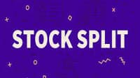 Stock Split: Premier Explosives to split one equity share into five, approves ₹400 crore fund raise