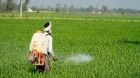 Insecticides India approves ₹50-crore buyback at ₹1,000 per share — check record date