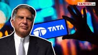 Multibagger Tata Group Stocks: THESE 3 shares double investor's wealth in 1 year! Own any?