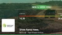 Shree Rama Newsprint Ltd's Stock Surges to 52-Week High Amidst Steady Performance