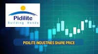 Top 8 Factors Driving Pidilite Industries Share Price Performance This Year