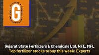 Gujarat State Fertilizers & Chemicals Ltd, NFL, MFL: Top fertilizer stocks to buy this week: Experts