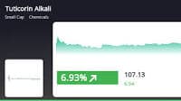 Tuticorin Alkali Chemicals & Fertilizers Ltd's Stock Shows Strong Growth in Chemicals Industry