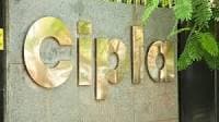 Cipla share price falls the most among Nifty companies