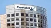 Akzo Nobel India shares gain over 5% as Q1 net profit rises to ₹114.6 crore