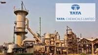 Tata Chemicals sets June 12 as record date for dividend payout