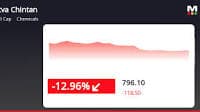 Tatva Chintan Pharma Chem's Stock Plummets, Receives 'Strong Sell' Rating from MarketsMOJO