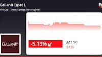 Gallantt Ispat Ltd. sees -5.13% decline in stock price, underperforms in steel industry