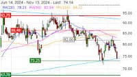 Southern Petrochemical Industries Corporation Limited Reports Earnings Results for the Second Quarter and Six Months Ended September 30, 2024