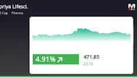 Supriya Lifescience's Stock Price Soars 8.5%, Hits New 52-Week High on Strong Performance