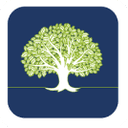 WhiteOak Capital Asset Management Limited logo